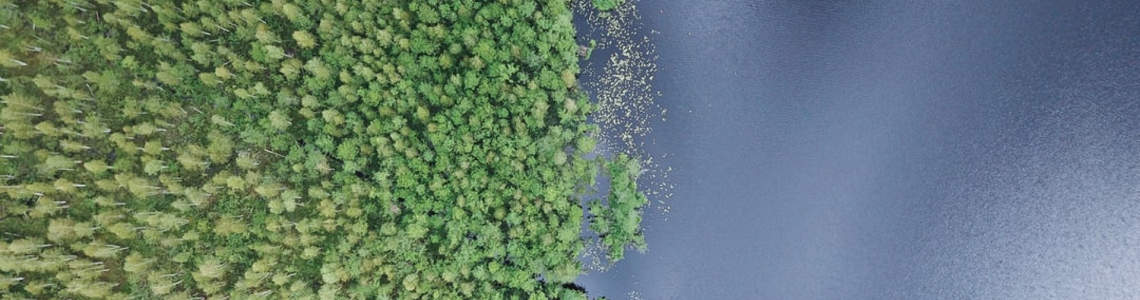 ��������� ��������: �������� �����������, �������� & ������ ��� �� ����������